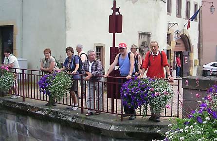 Vogesen 2010 (Bild: Thann)