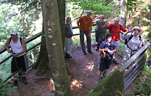 Vogesen 2010 (Bild: Aussichtsplattform Cascades)