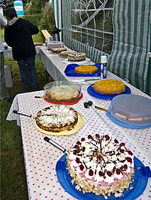 Grillfest 2011 (Bild: Tolles Kuchensortiment)