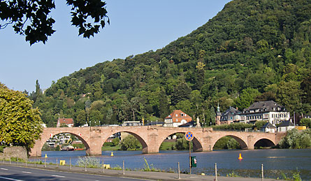 Ausflug nach Heidelberg (Bild: Erster Blick auf den Neckar)