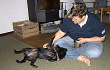 Forsthaus 2012 (Bild: Auch Sira f�hlt sich hundewohl)