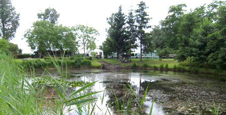  Grillfest 2012 (Bild: Blick �bern See)