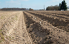 Osterspaziergang 2013 (Bld: Brachland)