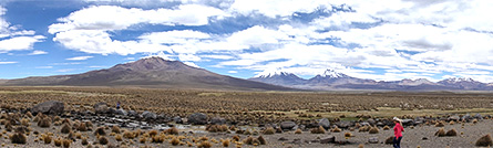 Berichte/Archiv (Bild: Anden in Südamerika)